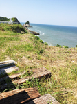 IMG_7889.jpg